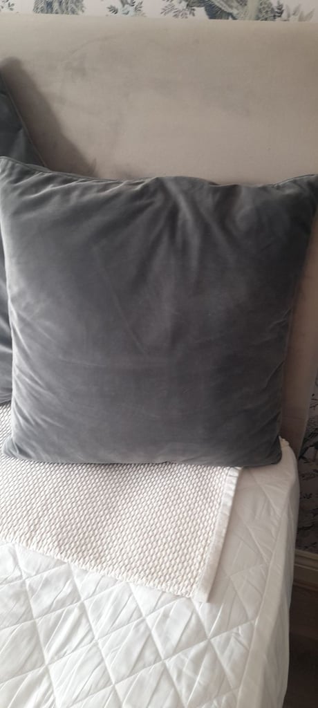 image for Grey velvet cushions