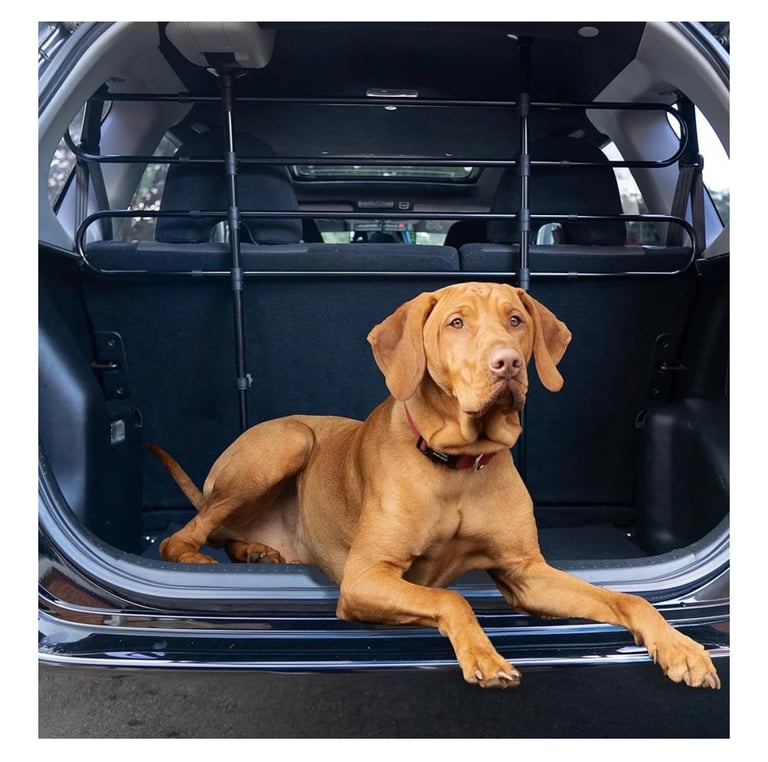 Universal Car Dog Guard 