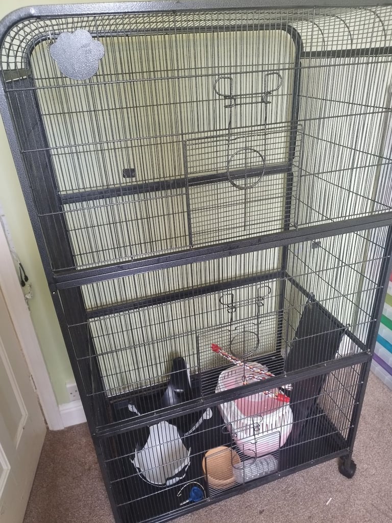 Large rat cage and accessories 