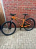 Trek mountain bike 