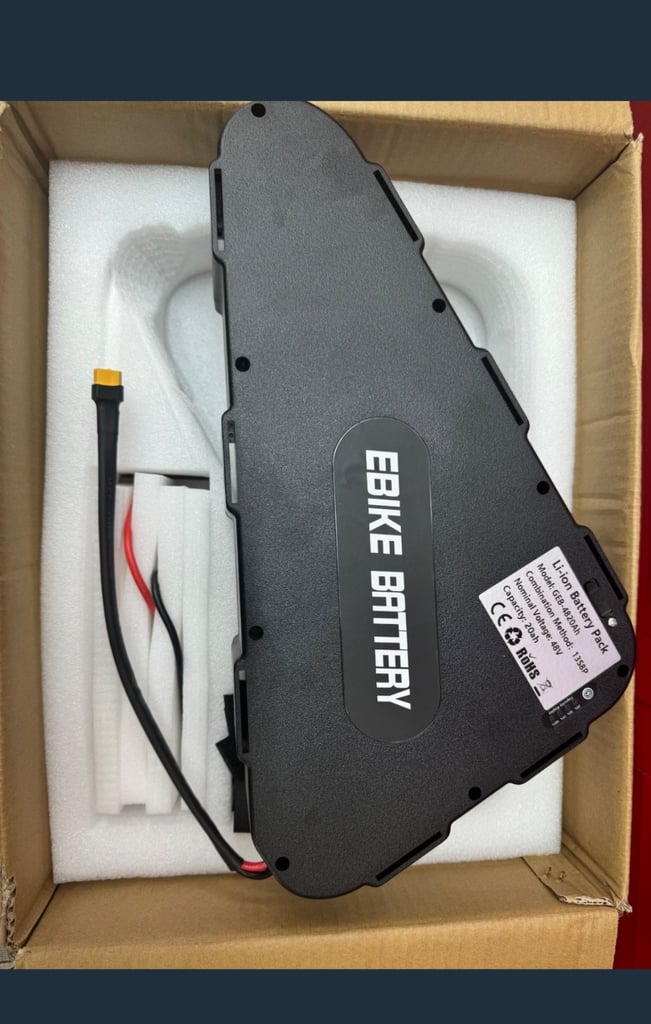 Triangle pack battery 48v Capacity 20Ah li-ion battery for electric bikes 