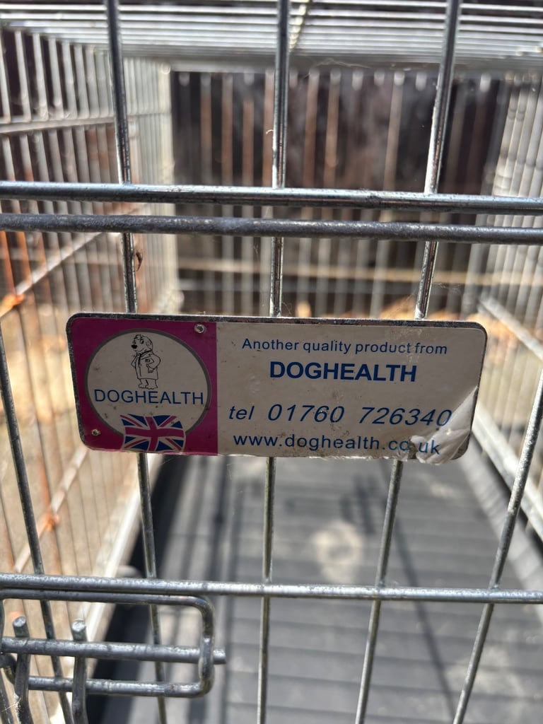 large dog cage for home