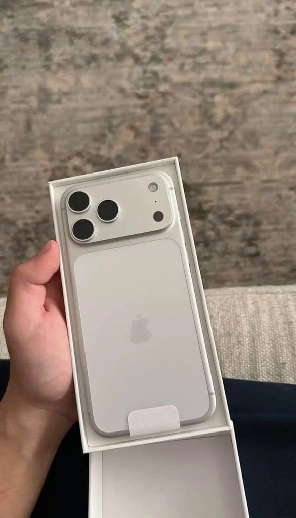 iPhone 17 pro 256gb silver + techwoven case