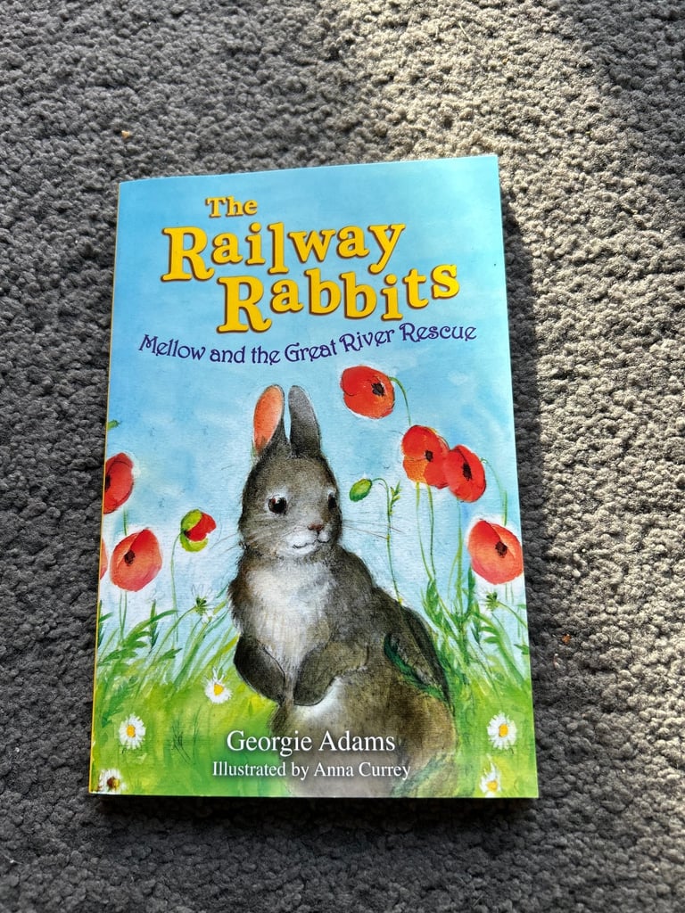 The railway rabbit series