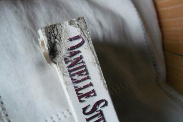 JOB LOT 8 DANIELLE STEEL BOOKS very good condition