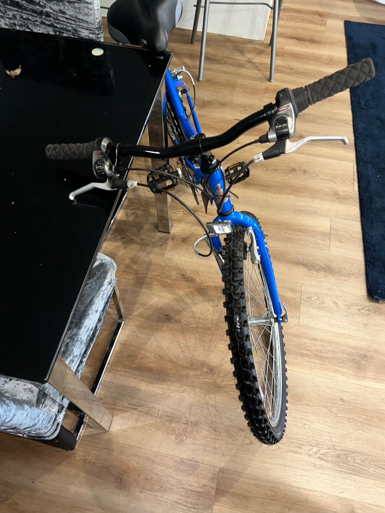 £80 bike 26 inch wheels fully working order 