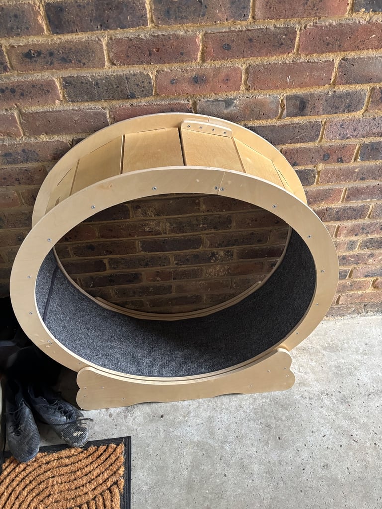 image for Cat Wheel/ Run