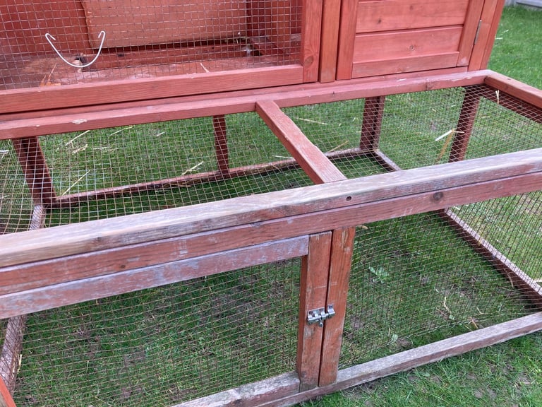 Rabbits - Norwegian Dwarf - With hutch