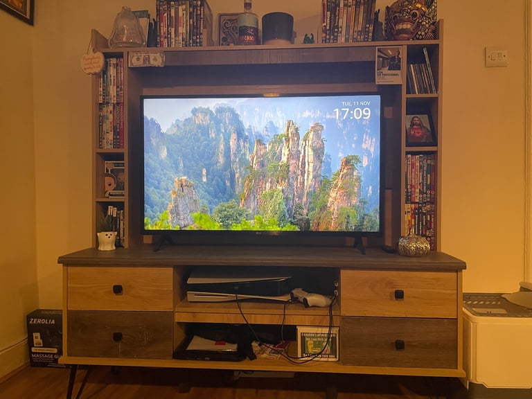 image for Wayfair TV unit