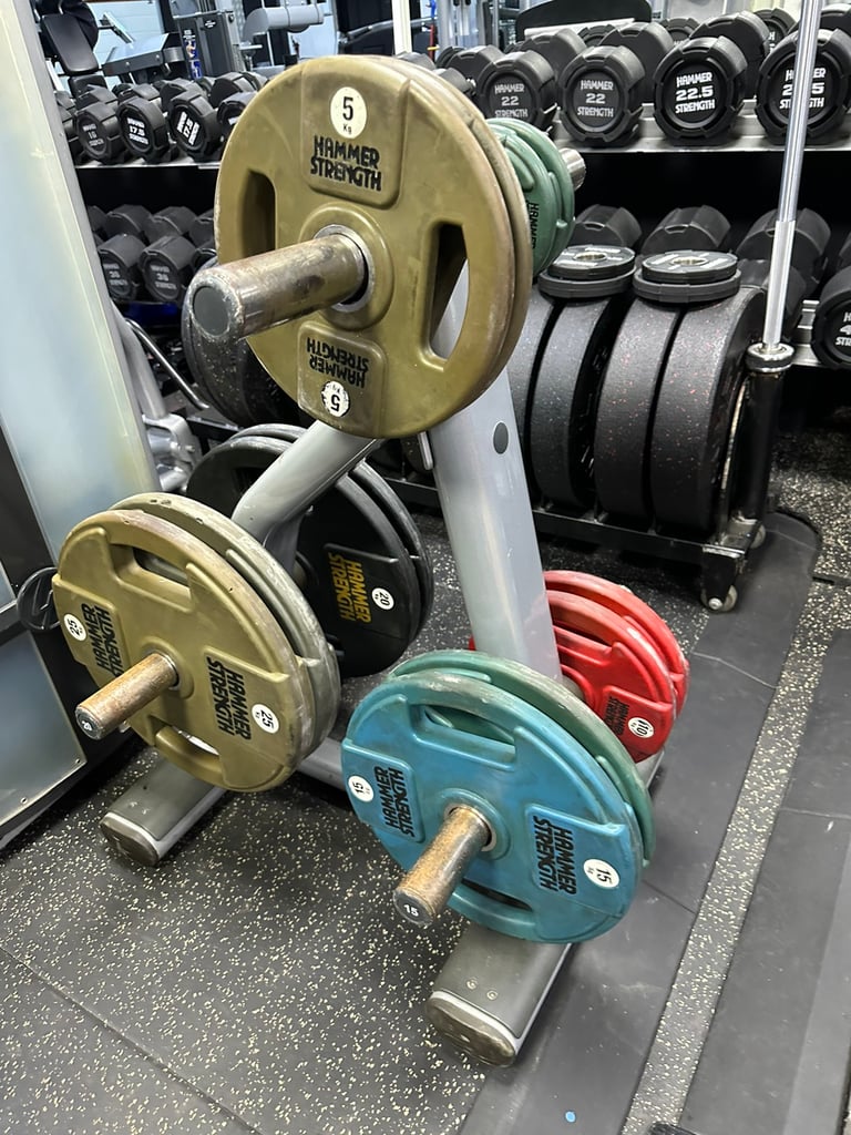 image for HAMMER STRENGTH WEIGHT PLATES FULL WEIGHTS SET