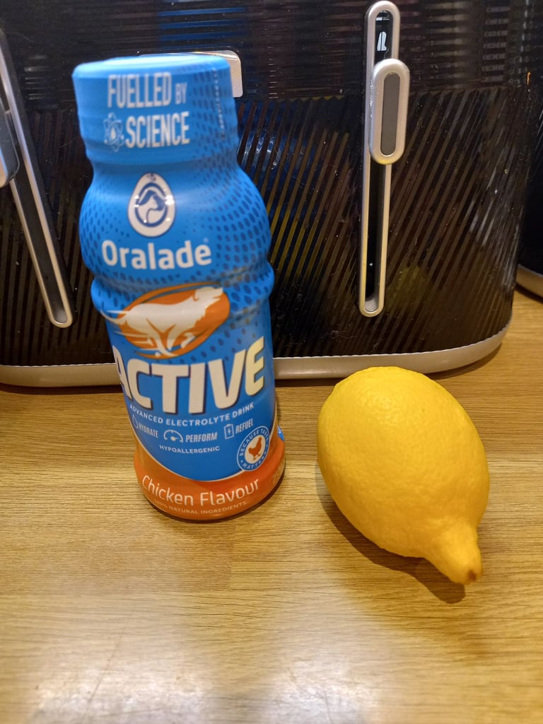 image for Free dog drinks