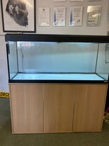 Fluval Roma 240 beech marine water fish tank aquarium setup (delivery