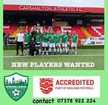 FOOTBALL PLAYERS WANTED! Dc346