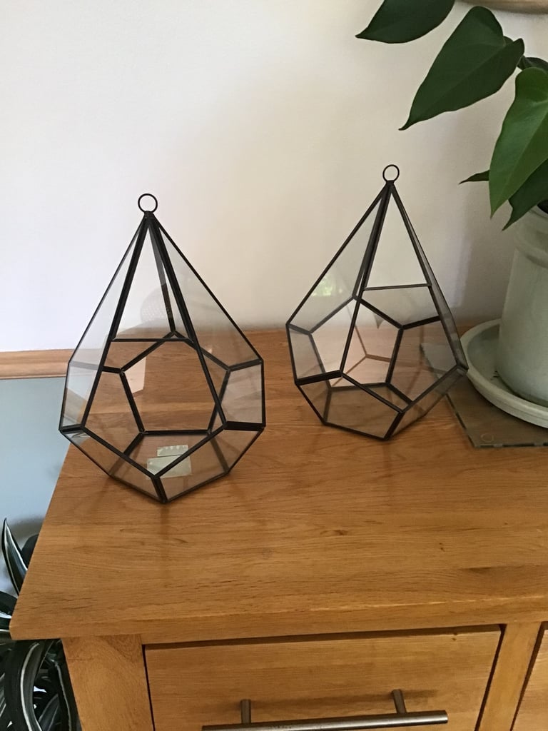image for Glass Terranium