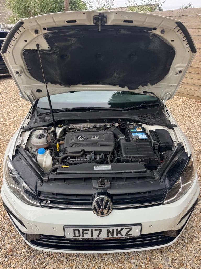 VOLKSWAGEN GOLF 2.0 TSI BlueMotion Tech R 2017