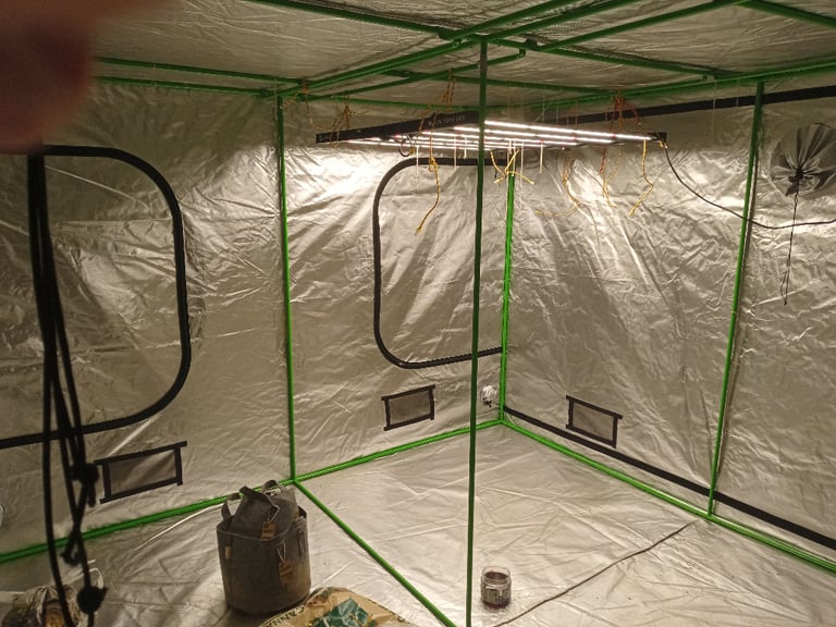 Hydroponics grow tent 