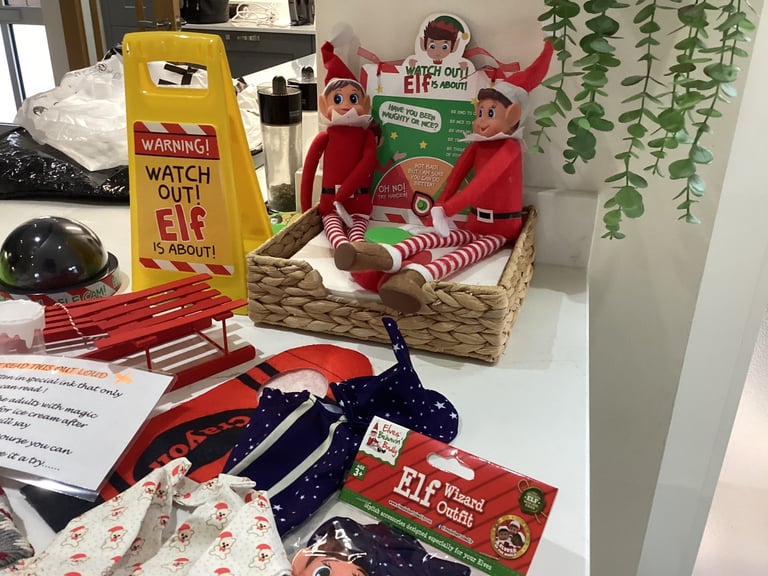 image for Elves on the shelf