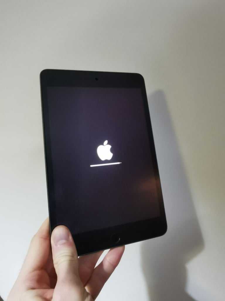 iPad Mini 2019 + Apple Stylus Pencil 
