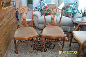 6 Shield back dinning chairs including 2 carvers