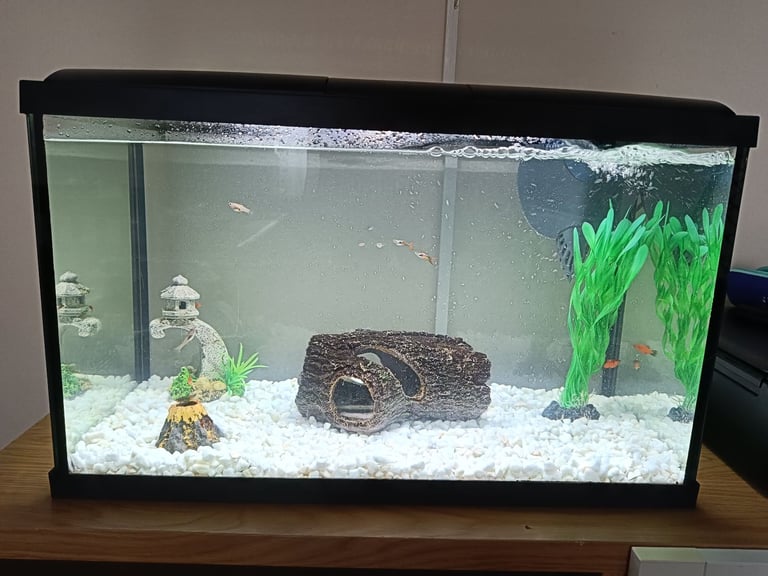 image for Fish tank with accessories 