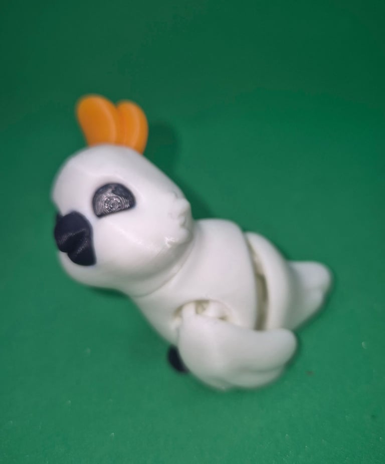 Fidget cockatoo 