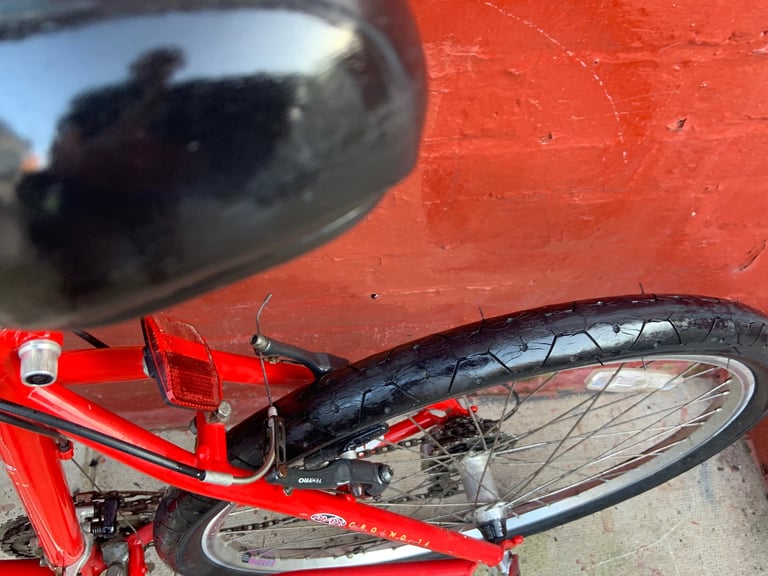 Raleigh mountain bike 