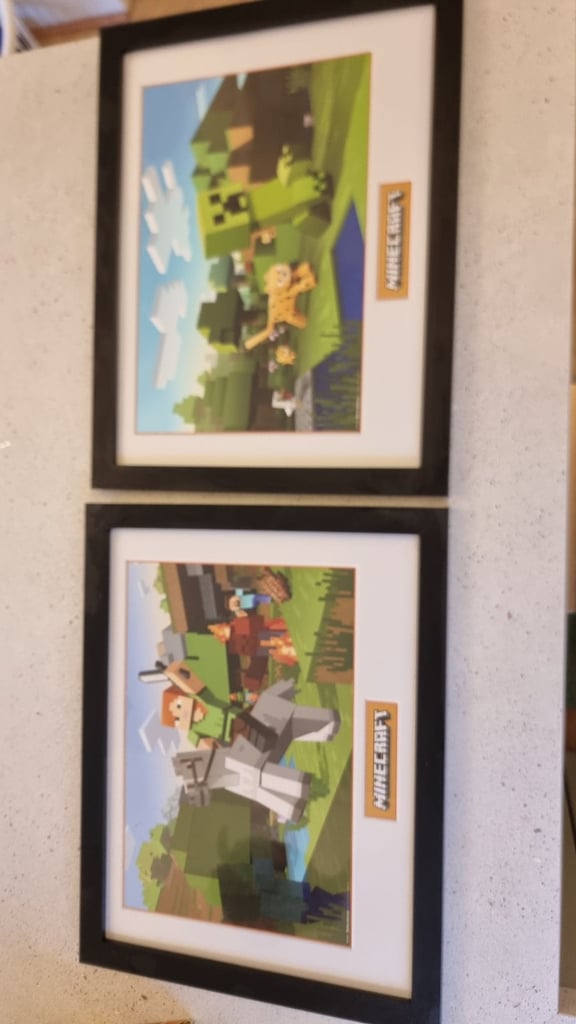 Minecraft framed pictures and accesories