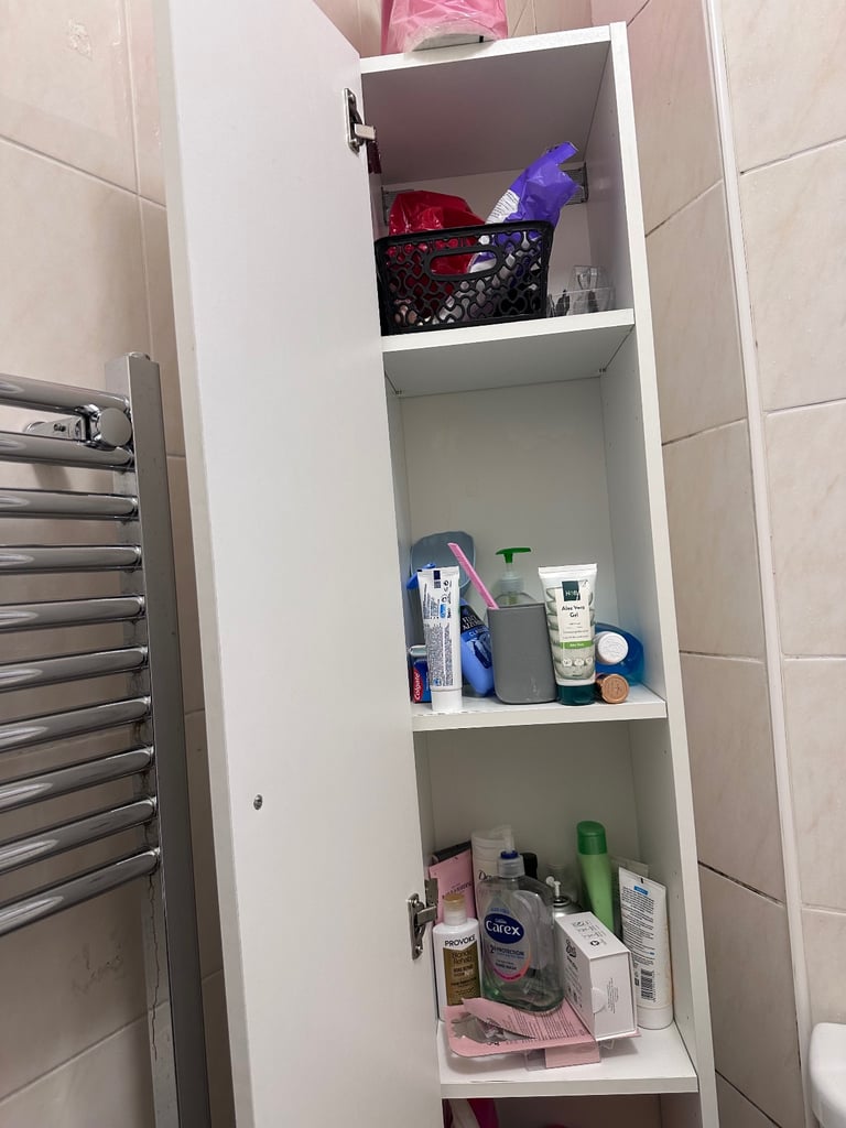 Toilet cabinet storage 