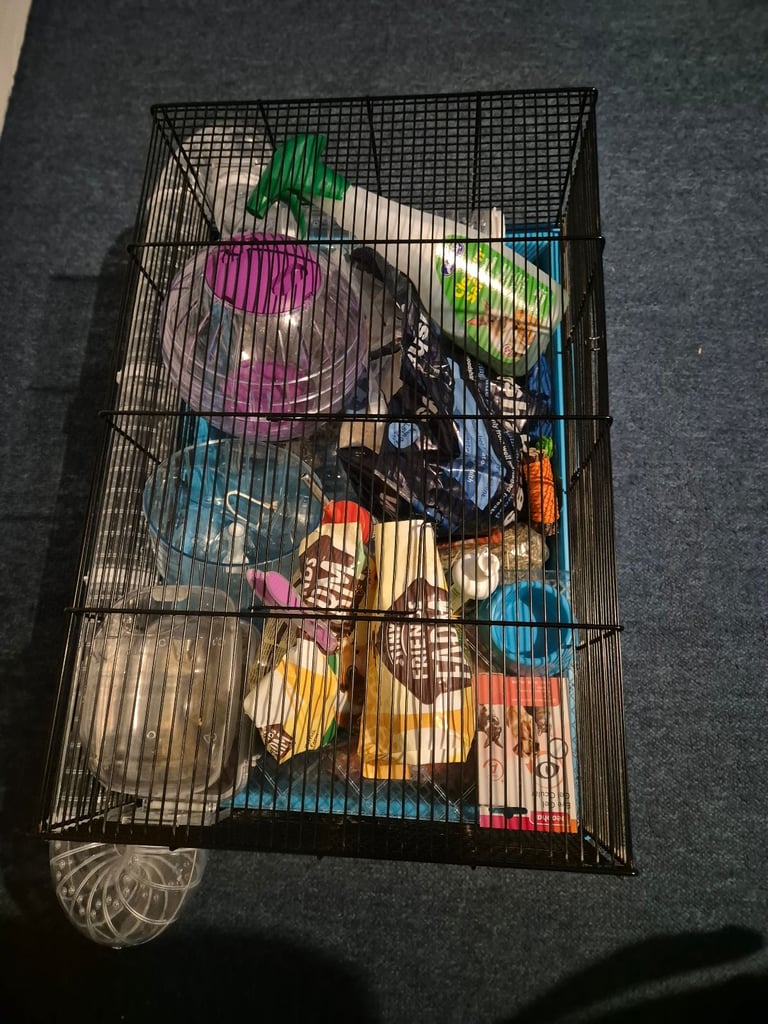 image for Hamster complete set up