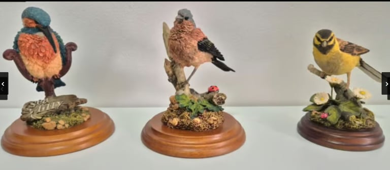 Collection of x15 display birds by Country Artists, Russell Willis and Views of Nature