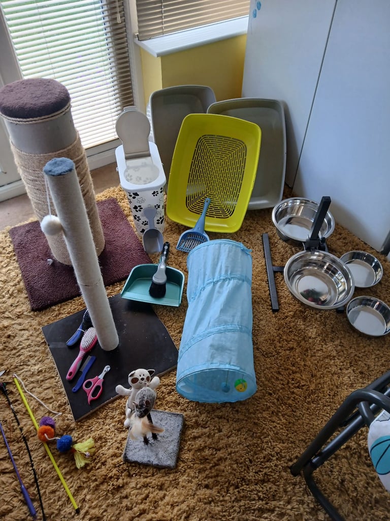 Pet Items in Cheltenham