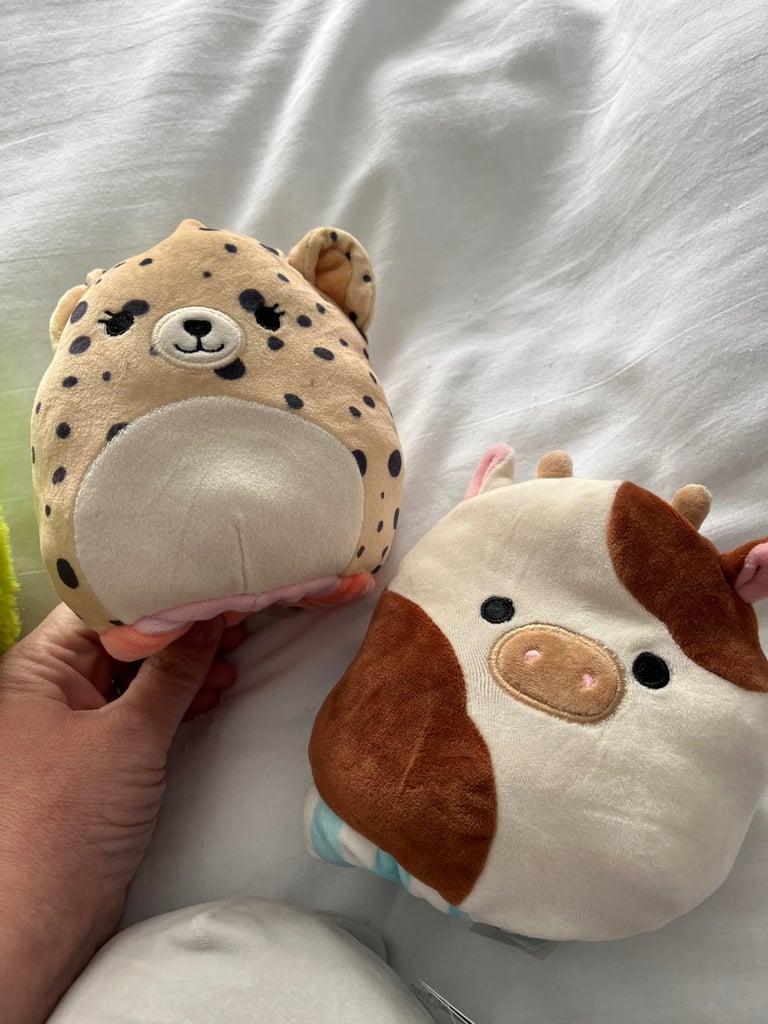6 official Squishmallows bundle