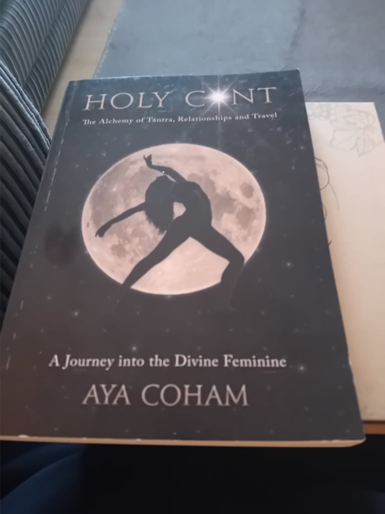 image for New book 