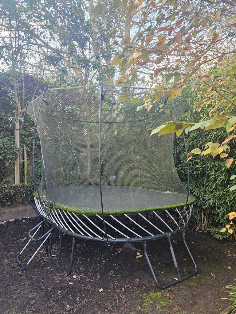 Springfree Medium oval trampoline with ladder