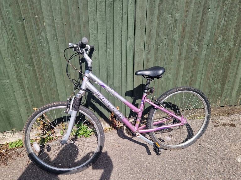image for Ladies Bike 