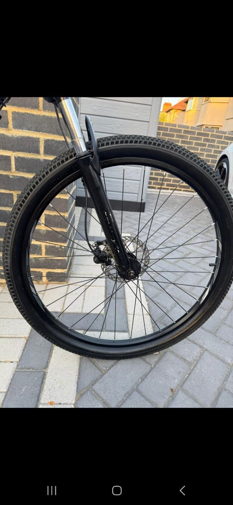 Electric Bike 250W