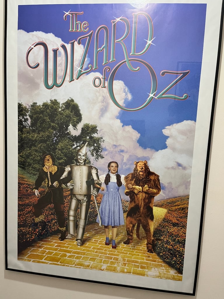 A1 posters  black framed