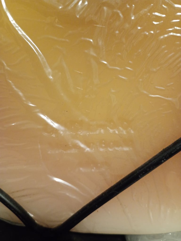 South African Elephant Medallion Candle