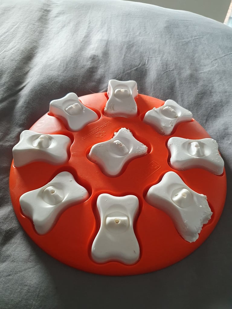 Assorted Dog Training Accessories