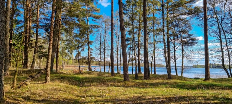 WORKING FROM HOME? ESCAPE THE CITY TO SWEDEN