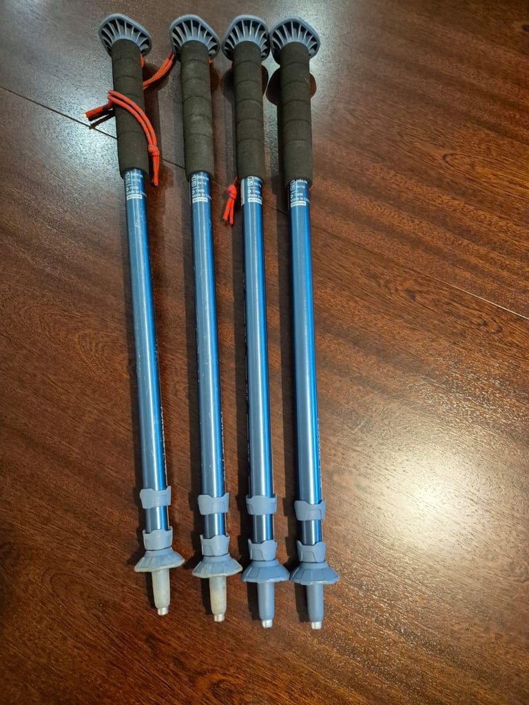 image for Forclaz MT100 Hiking poles