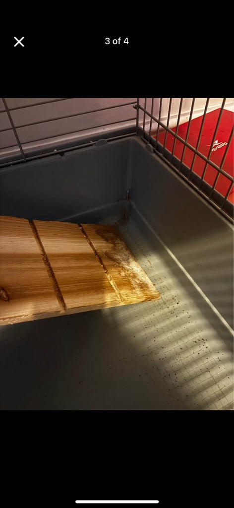 Animal cage / guinea pig cage