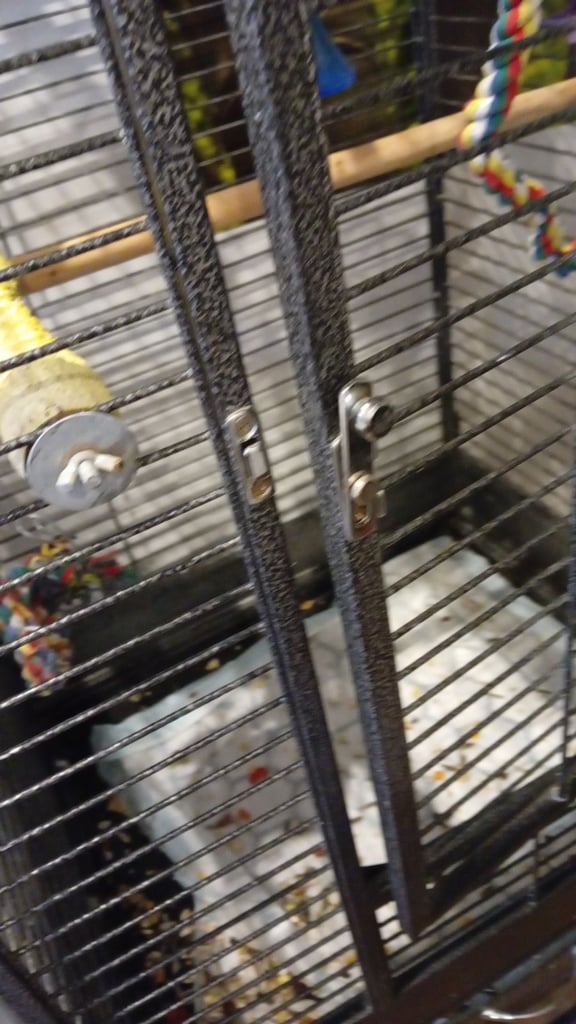 Parrot cage