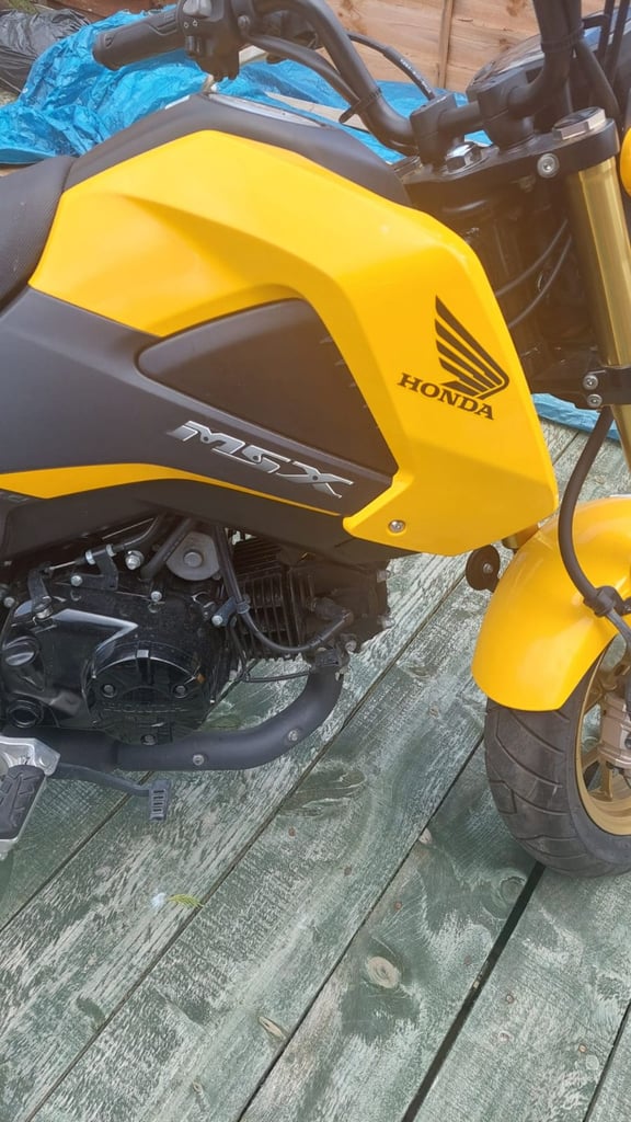 Honda MSX125 Grom 16Plate