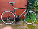 Viking Trieste 24-sp Road Bike