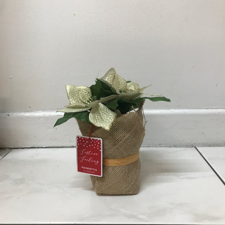 image for Artificial White Plastic Poinsettia in Hessian Christmas Decor Decoration 