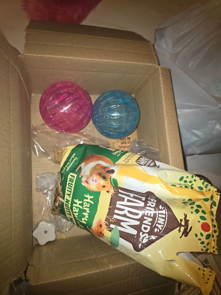 2 female mice with everything needed