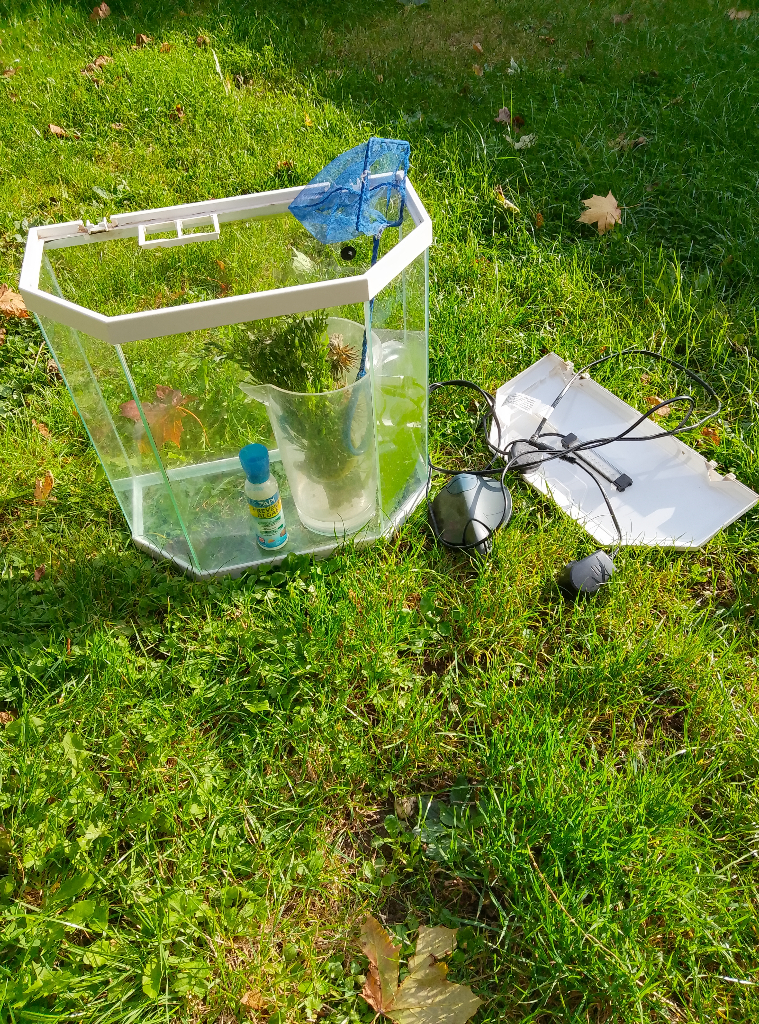 image for Fish tank aquarium