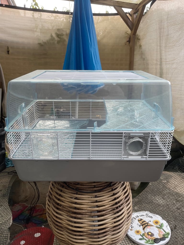 Dwarf Hamster Cage and Accessories 