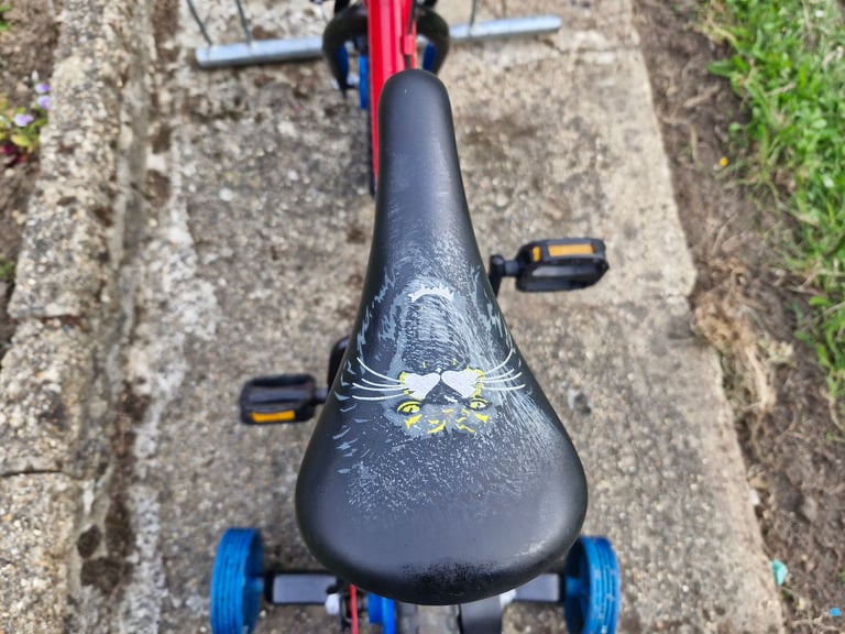 KIDS BOYS CHILDREN LION ROAR 12 INCH WHEELS BIKE BICYCLE
